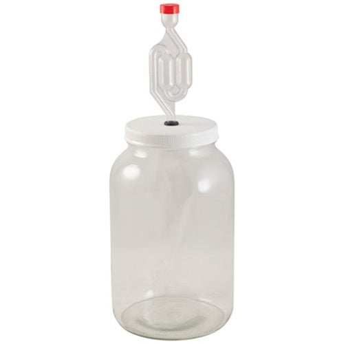 1 Gallon Glass Jar Fermenter Kit