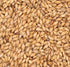 Wheat, Unmalted Bulk 50#