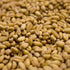 Weyermann Barke Munich Malt