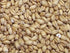 Wheat, White Malt